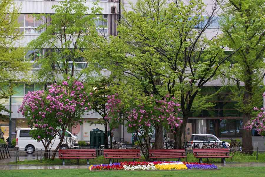 f:id:ham29:20180519141923j:plain f:id:ham29:20180519141923j:plain
