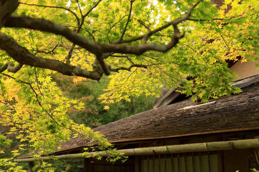 f:id:ham29:20190303223502j:plain f:id:ham29:20190303223502j:plain