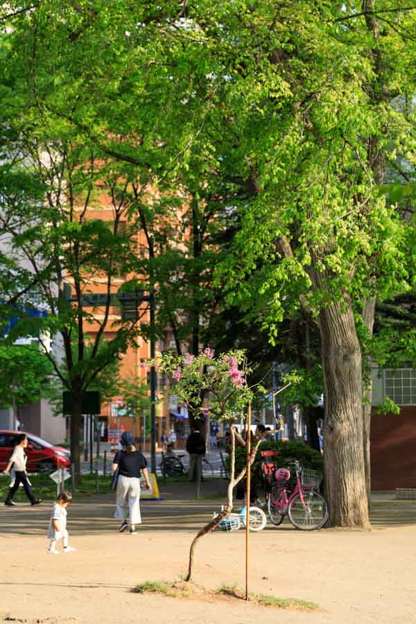 f:id:ham29:20190518223819j:plain f:id:ham29:20190518223819j:plain