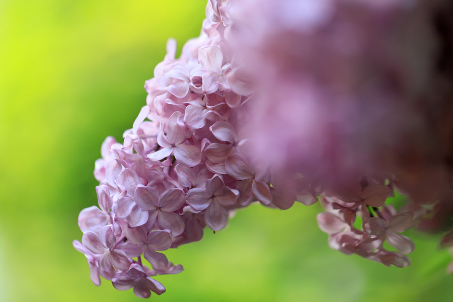 f:id:ham29:20190518223855j:plain f:id:ham29:20190518223855j:plain