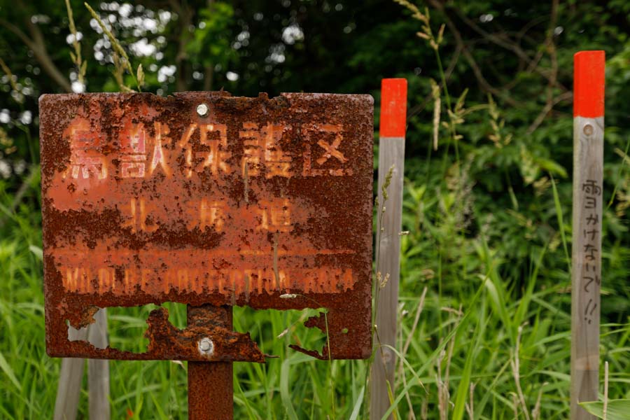 f:id:ham29:20190708204317j:plain f:id:ham29:20190708204317j:plain