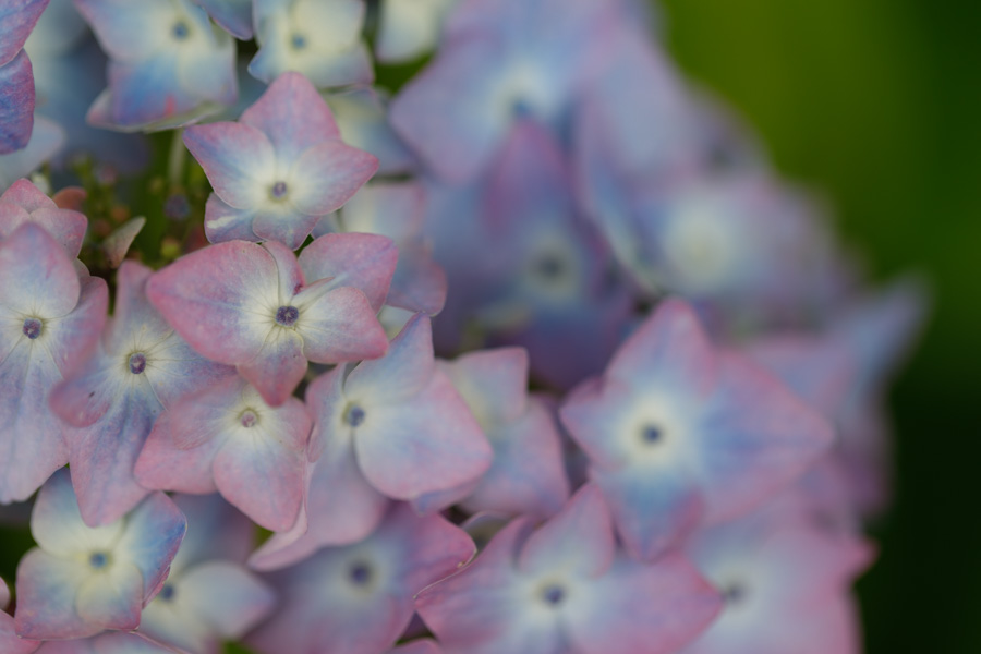 f:id:ham29:20190708204323j:plain f:id:ham29:20190708204323j:plain