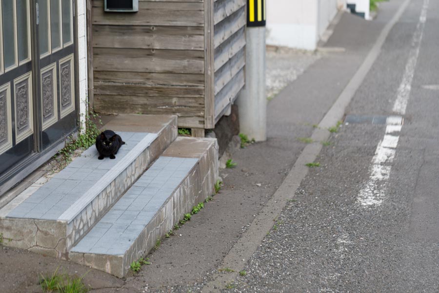 f:id:ham29:20190708204339j:plain f:id:ham29:20190708204339j:plain