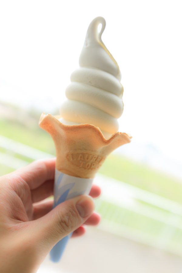f:id:ham29:20190709204117j:plain f:id:ham29:20190709204117j:plain