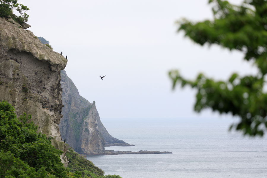 f:id:ham29:20190709204156j:plain f:id:ham29:20190709204156j:plain
