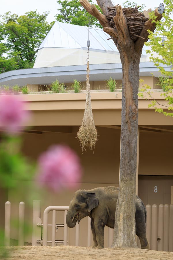 f:id:ham29:20190817205409j:plain f:id:ham29:20190817205409j:plain