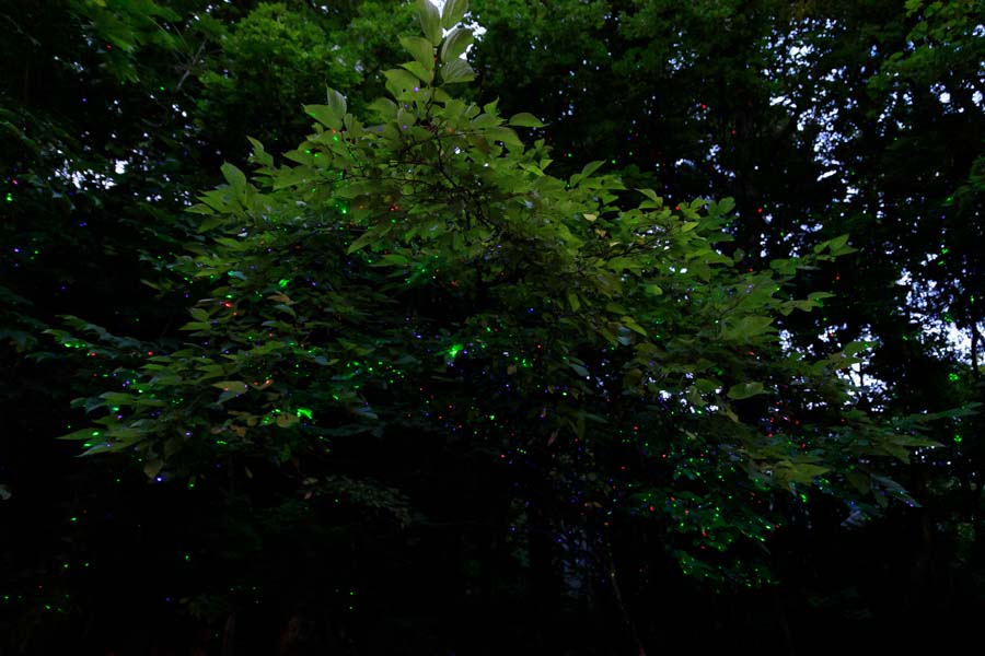 f:id:ham29:20190902204743j:plain f:id:ham29:20190902204743j:plain