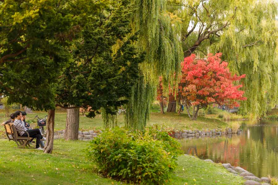 f:id:ham29:20191022213456j:plain