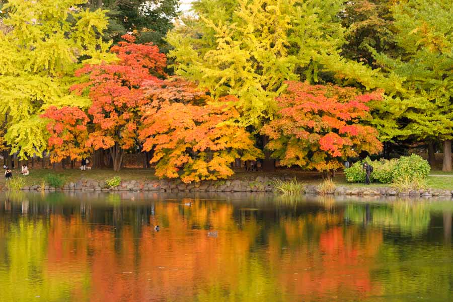 f:id:ham29:20191022213602j:plain