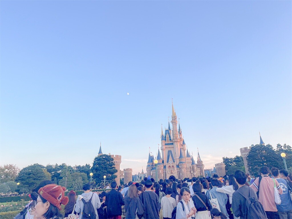 f:id:ham_hum:20241114225403j:image