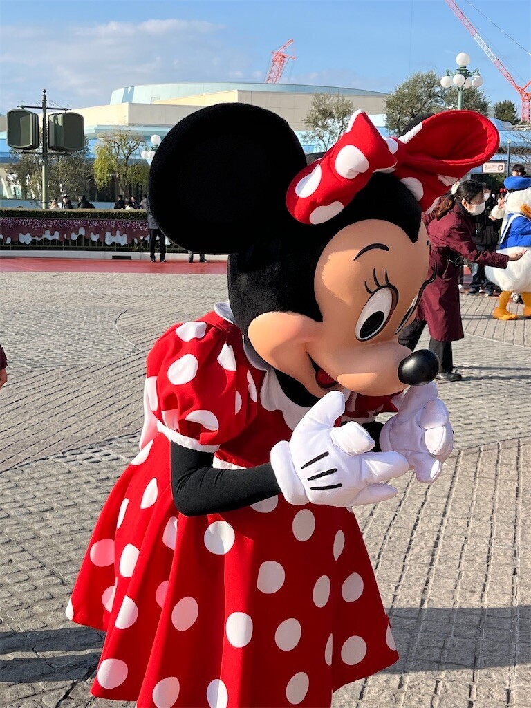 f:id:ham_hum:20250305002438j:image