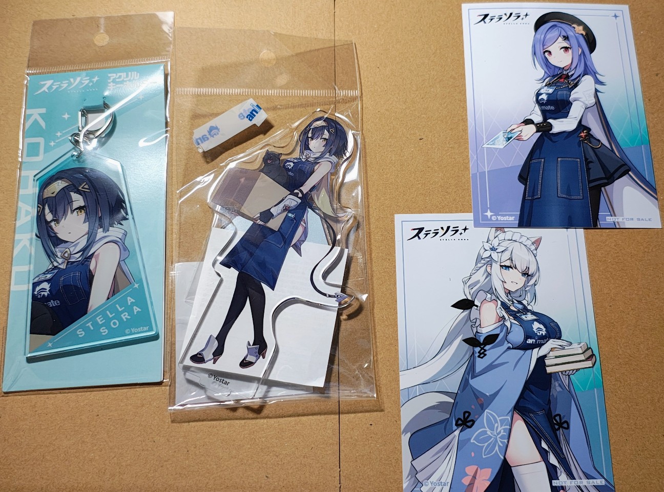 f:id:hama-hiyoshi:20260505233257j:image