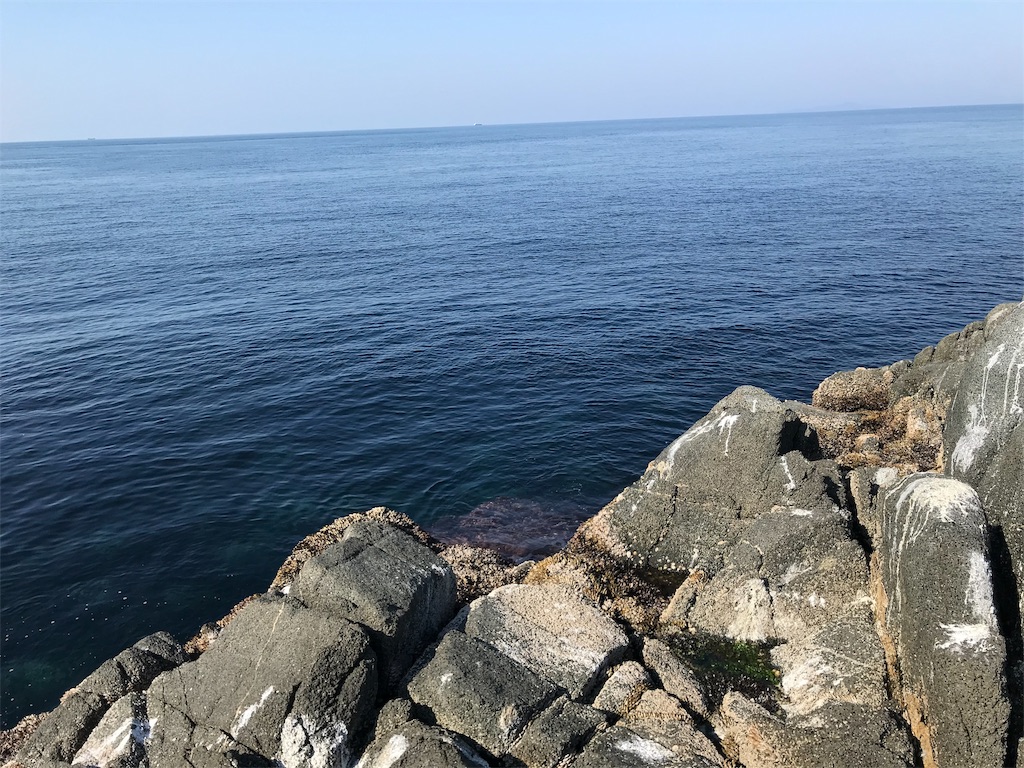 f:id:hama-tyan:20190319234007j:image f:id:hama-tyan:20190319234007j:image