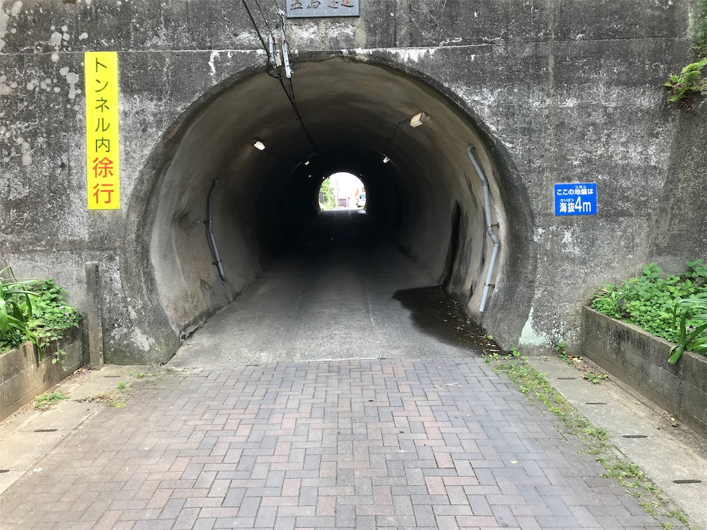 f:id:hama-tyan:20190603152639j:image f:id:hama-tyan:20190603152639j:image