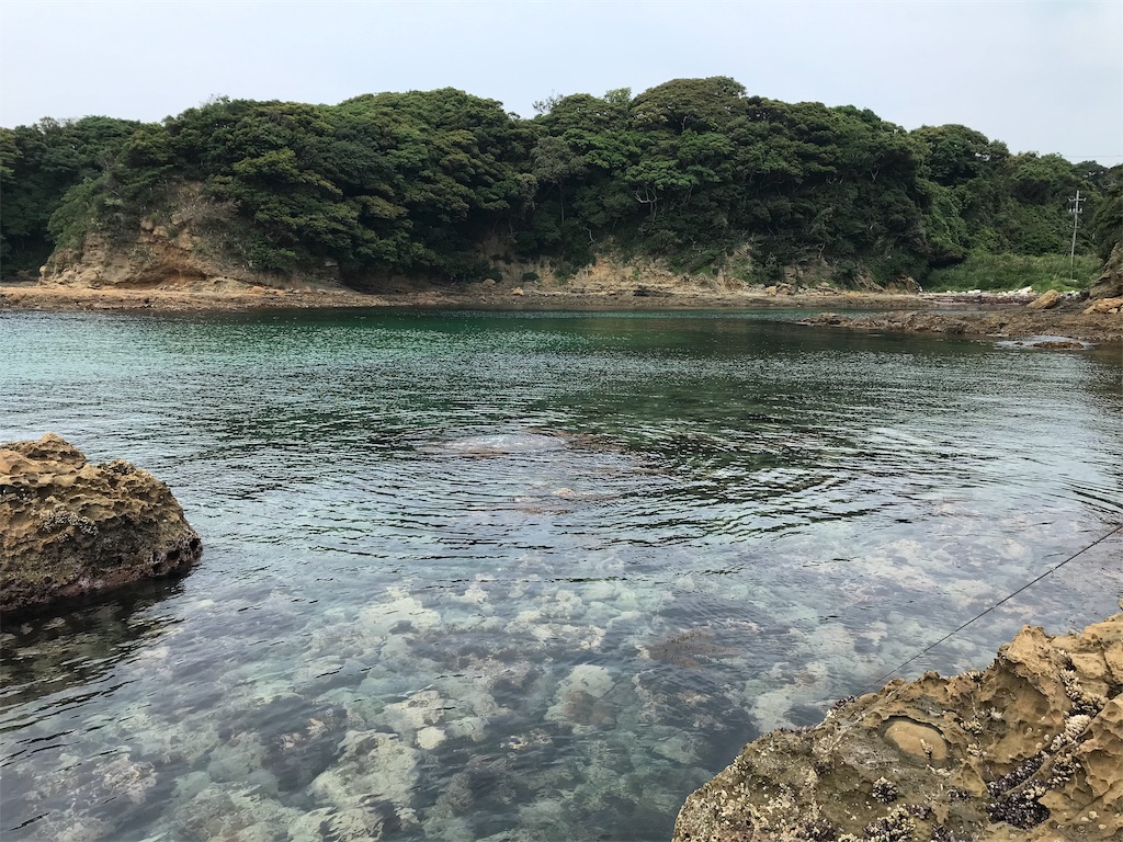 f:id:hama-tyan:20190603152657j:image f:id:hama-tyan:20190603152657j:image