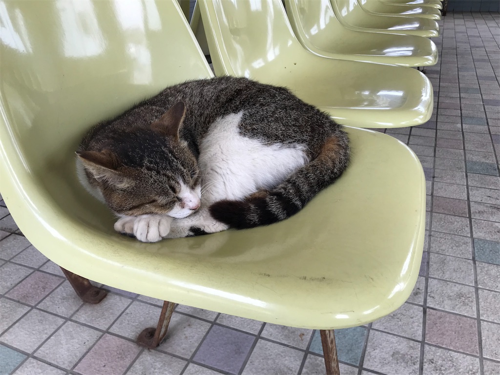 f:id:hama-tyan:20190603152701j:image f:id:hama-tyan:20190603152701j:image