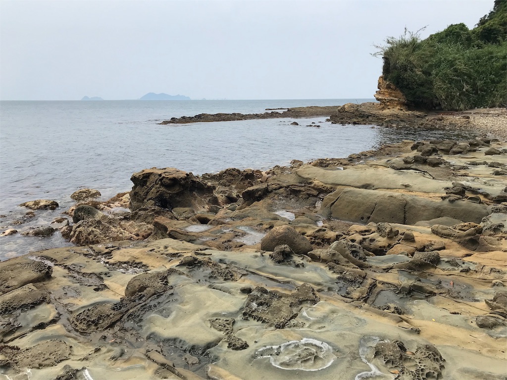 f:id:hama-tyan:20190603152704j:image f:id:hama-tyan:20190603152704j:image