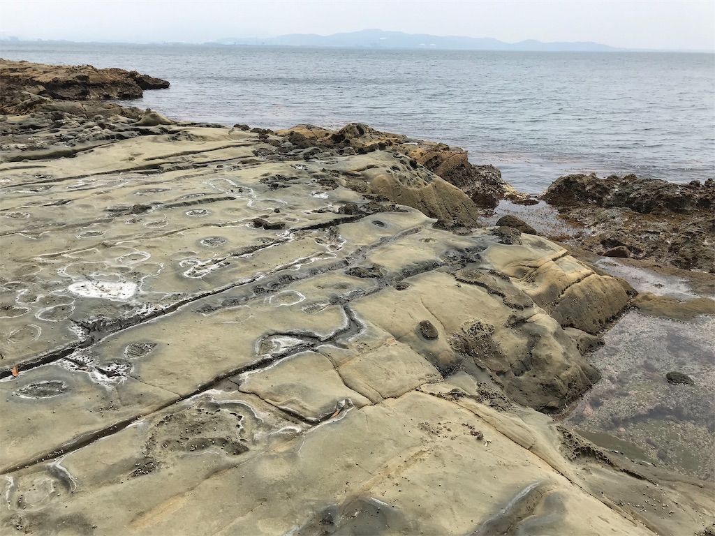 f:id:hama-tyan:20190603152714j:image f:id:hama-tyan:20190603152714j:image