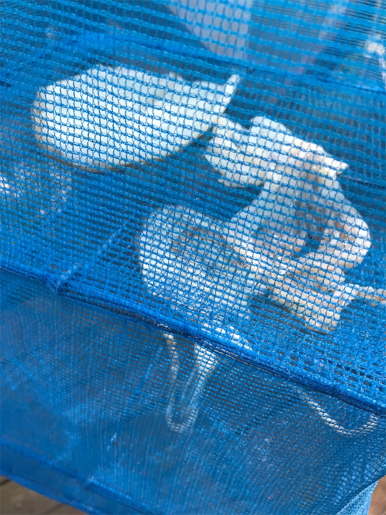 f:id:hama-tyan:20190616172413j:image f:id:hama-tyan:20190616172413j:image