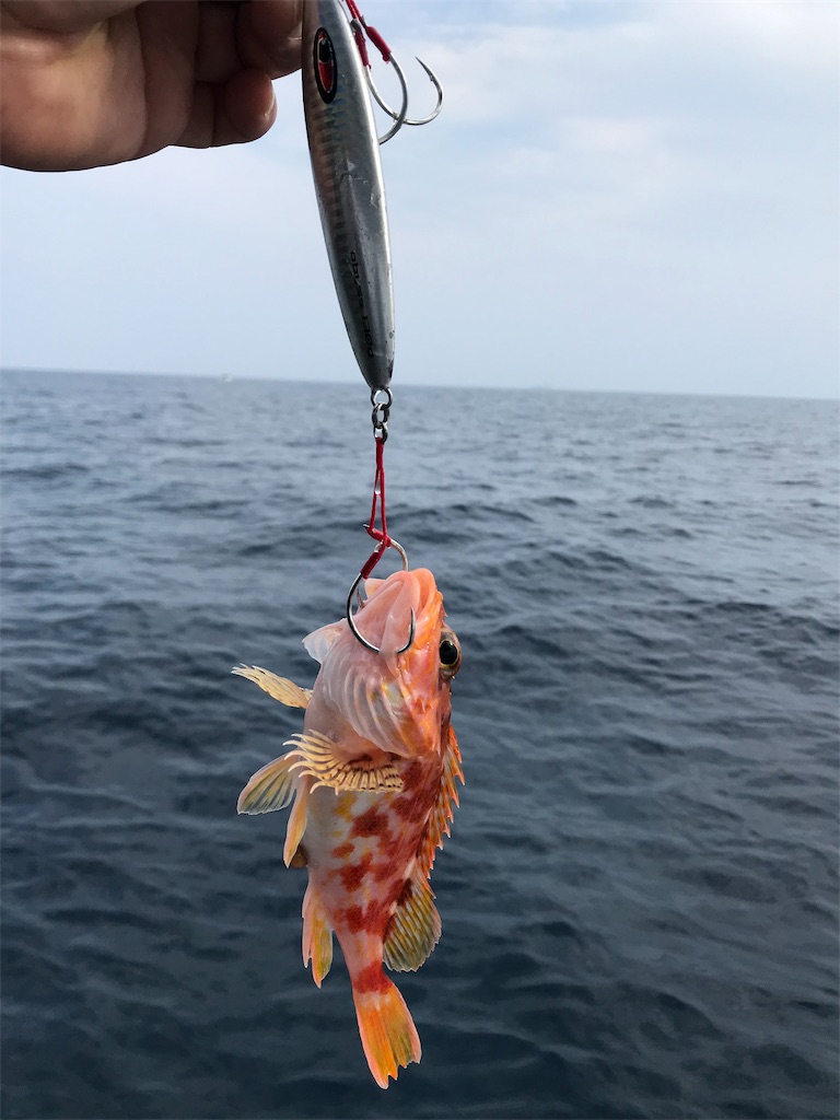 f:id:hama-tyan:20190819214134j:image