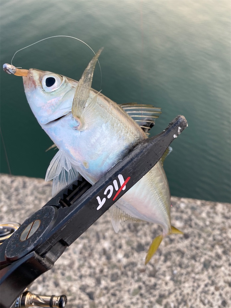 f:id:hama-tyan:20200909233228j:image f:id:hama-tyan:20200909233228j:image