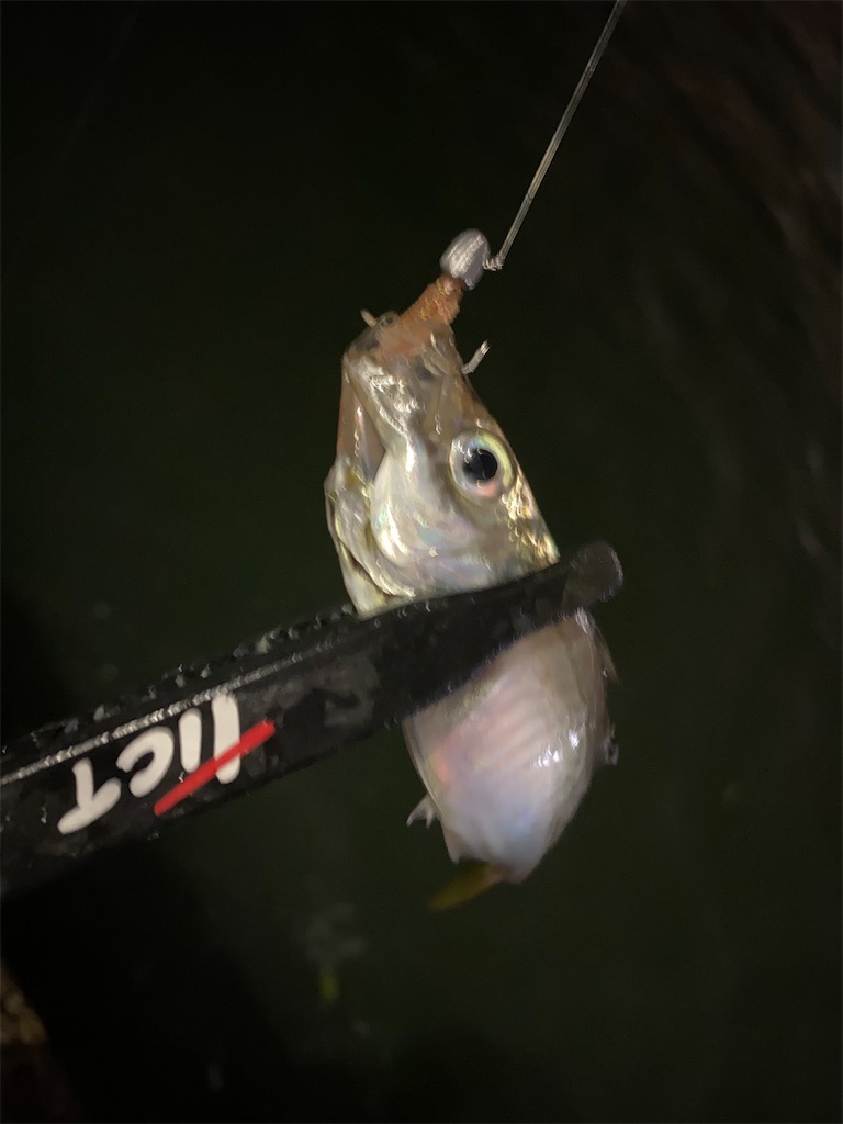 f:id:hama-tyan:20200928225400j:image f:id:hama-tyan:20200928225400j:image