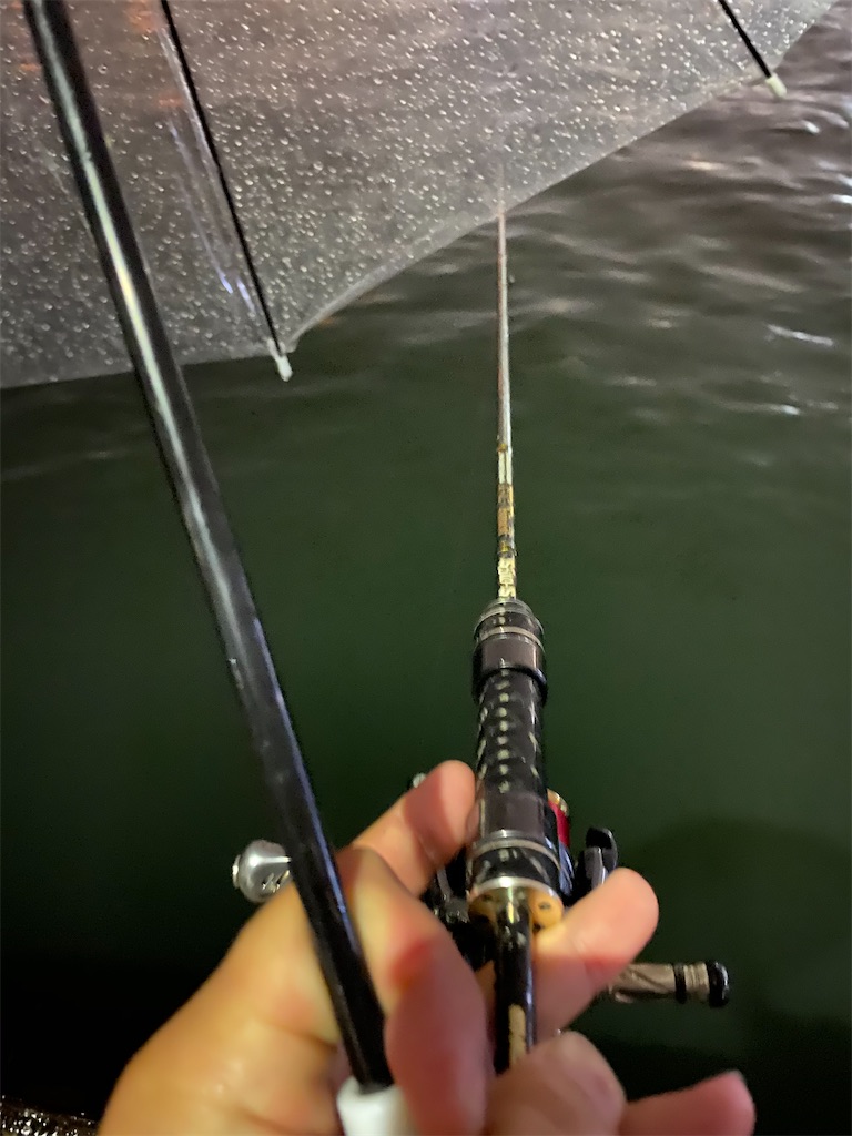 f:id:hama-tyan:20200928225404j:image f:id:hama-tyan:20200928225404j:image