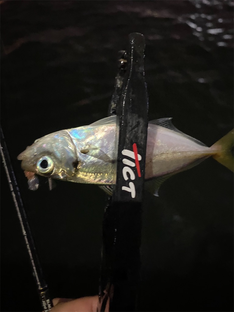 f:id:hama-tyan:20200928225408j:image f:id:hama-tyan:20200928225408j:image