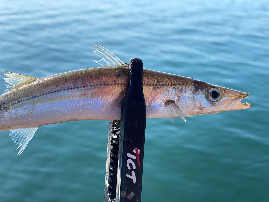 f:id:hama-tyan:20201114000730j:image f:id:hama-tyan:20201114000730j:image