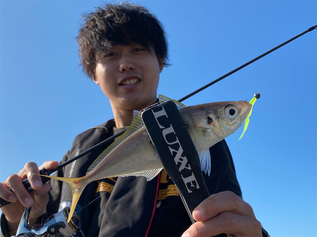 f:id:hama-tyan:20201114103550j:image f:id:hama-tyan:20201114103550j:image