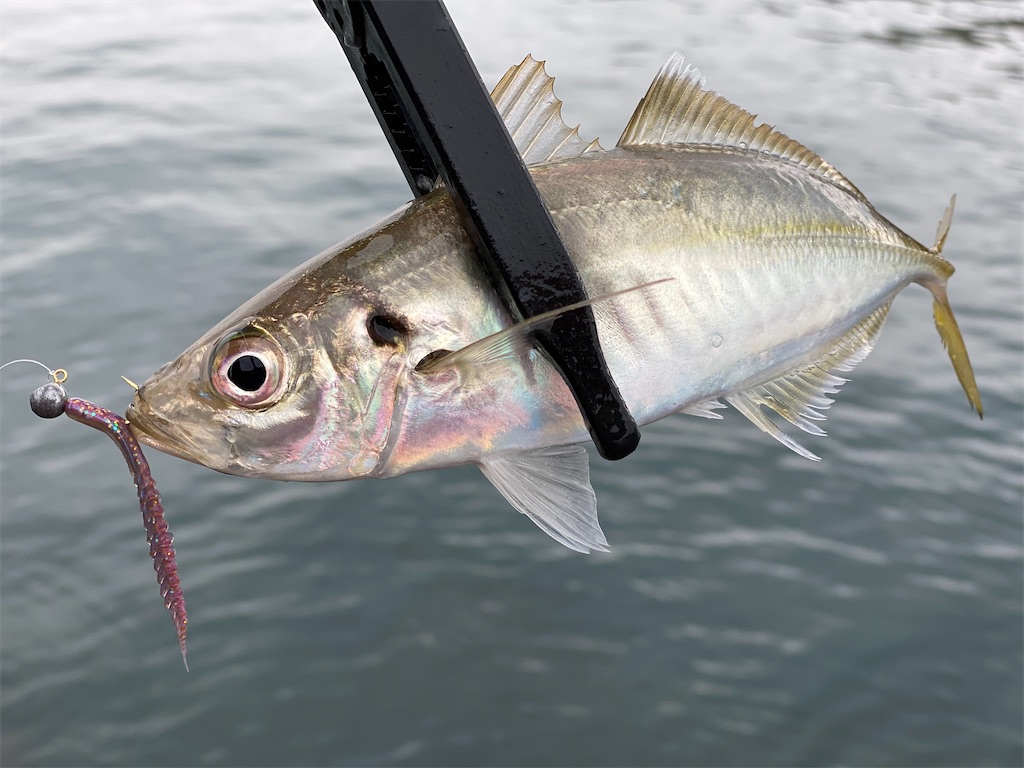 f:id:hama-tyan:20201127232902j:image f:id:hama-tyan:20201127232902j:image