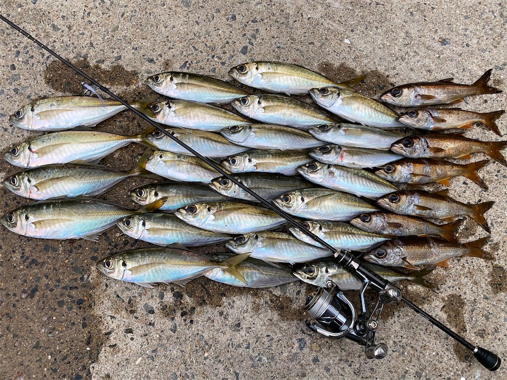 f:id:hama-tyan:20201127232907j:image f:id:hama-tyan:20201127232907j:image