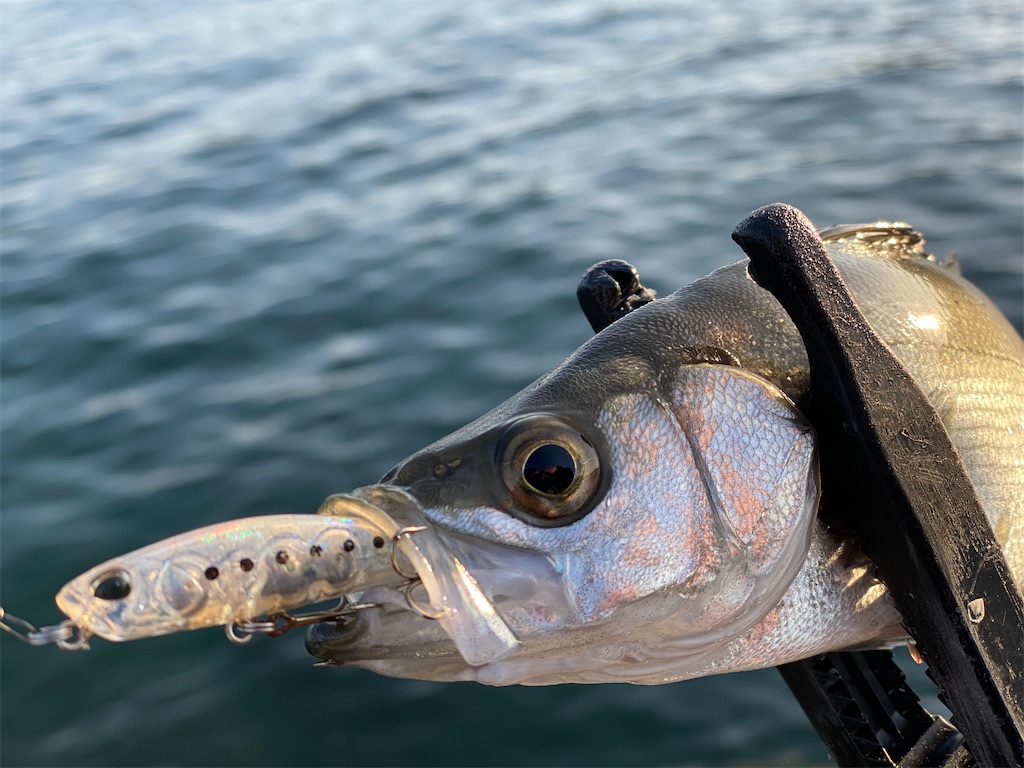 f:id:hama-tyan:20201214144811j:image f:id:hama-tyan:20201214144811j:image