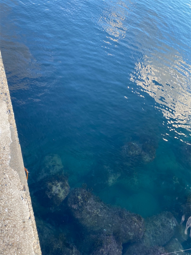 f:id:hama-tyan:20201219224014j:image