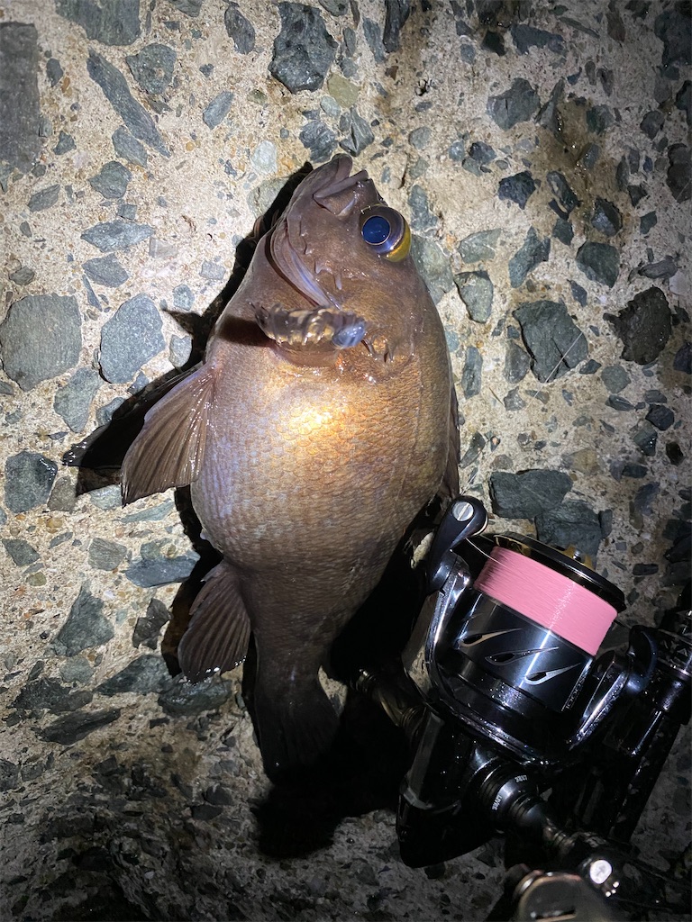 f:id:hama-tyan:20201227234019j:image