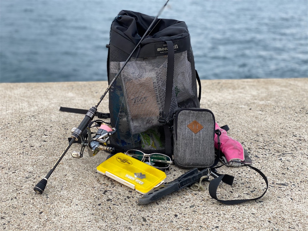 f:id:hama-tyan:20201229112155j:image f:id:hama-tyan:20201229112155j:image