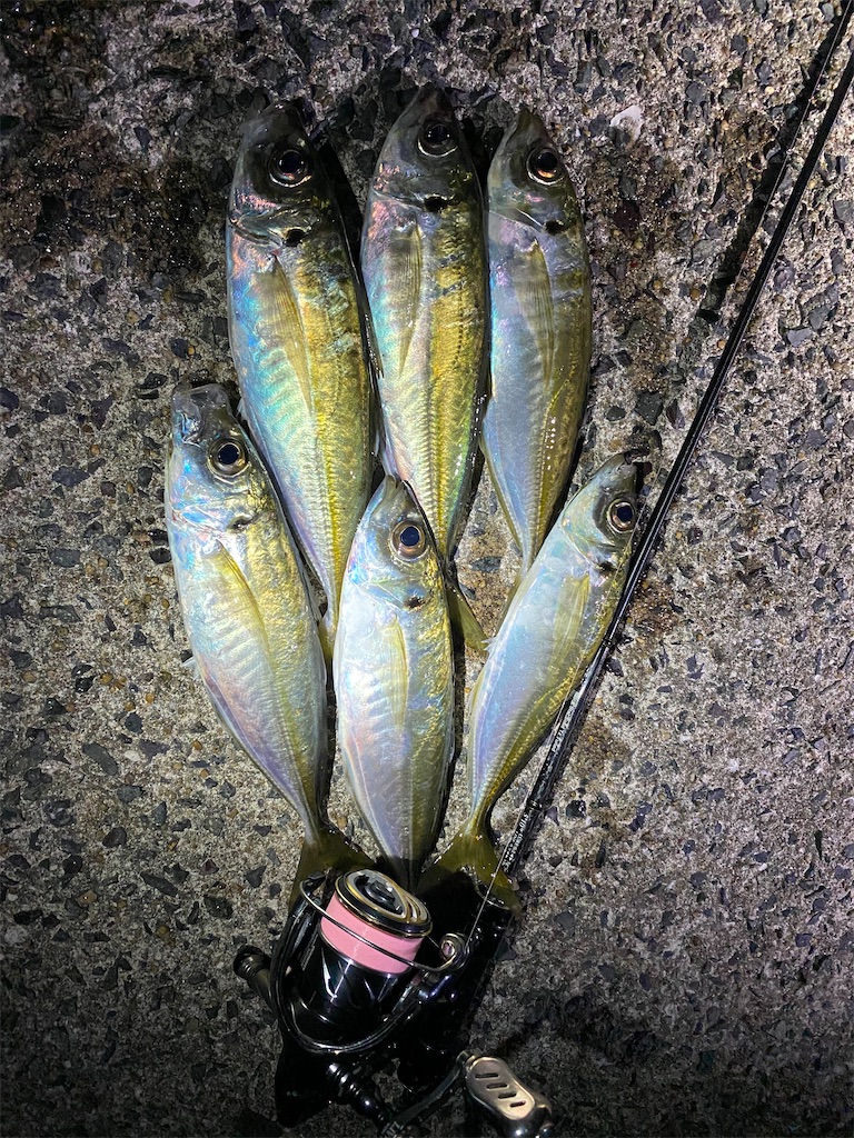 f:id:hama-tyan:20201229112210j:image f:id:hama-tyan:20201229112210j:image