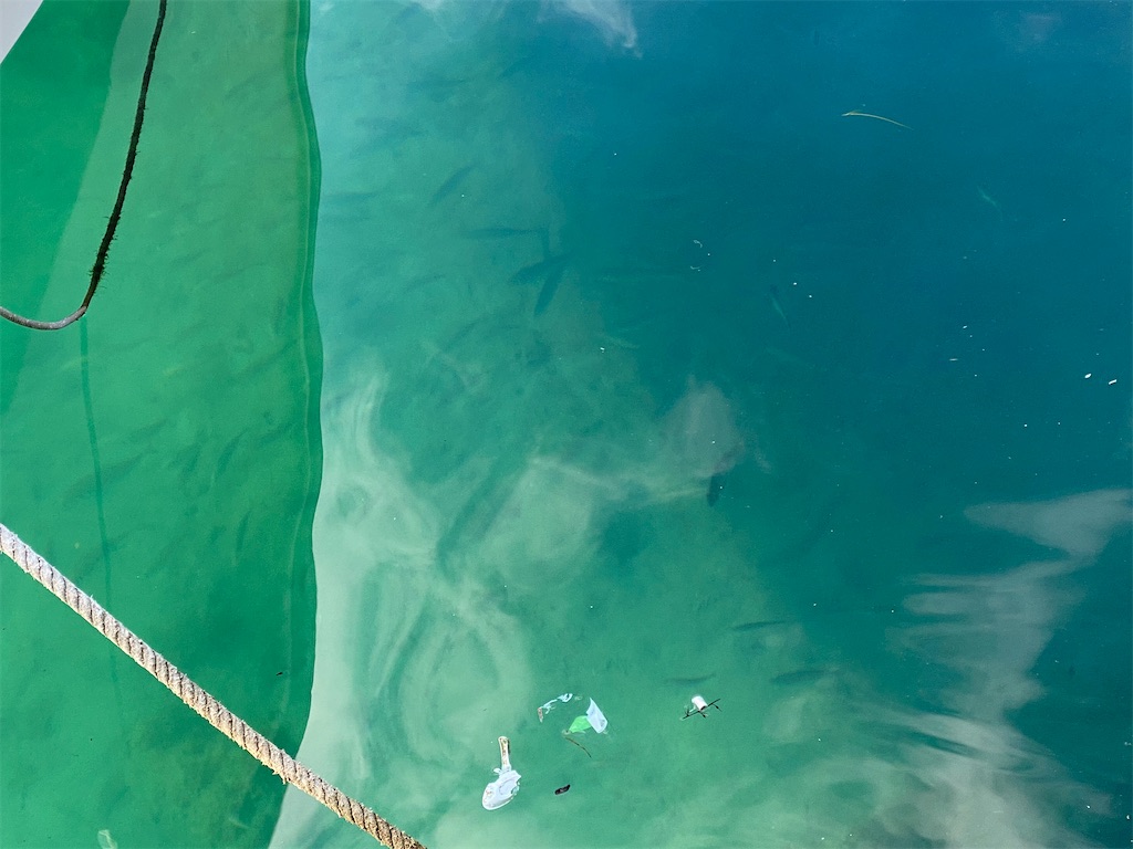 f:id:hama-tyan:20201229112230j:image f:id:hama-tyan:20201229112230j:image