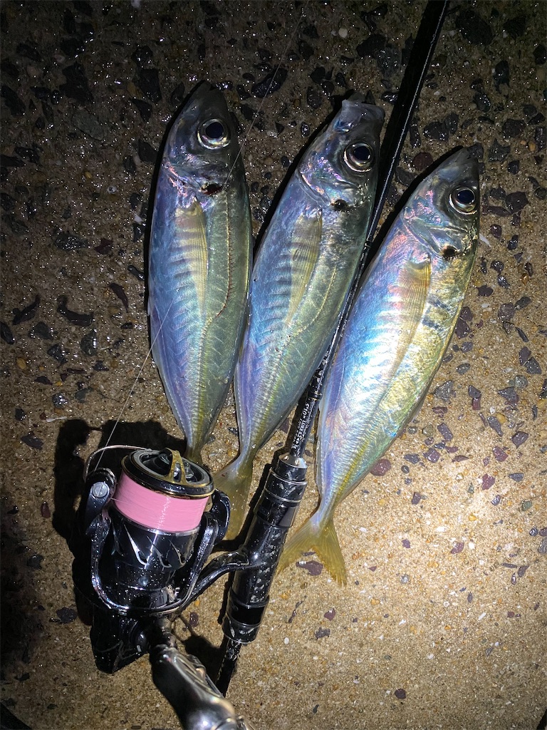 f:id:hama-tyan:20201229112237j:image f:id:hama-tyan:20201229112237j:image