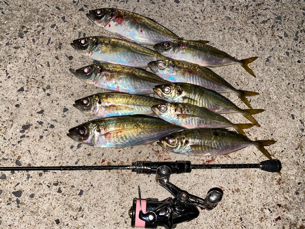 f:id:hama-tyan:20201229112240j:image f:id:hama-tyan:20201229112240j:image