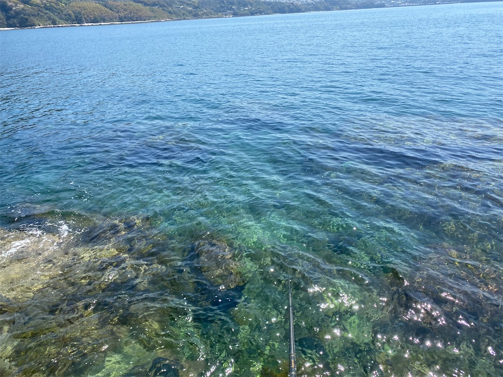 f:id:hama-tyan:20210330100341j:image f:id:hama-tyan:20210330100341j:image