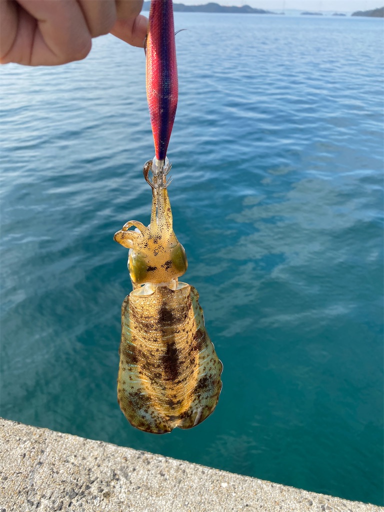 f:id:hama-tyan:20210330100347j:image f:id:hama-tyan:20210330100347j:image