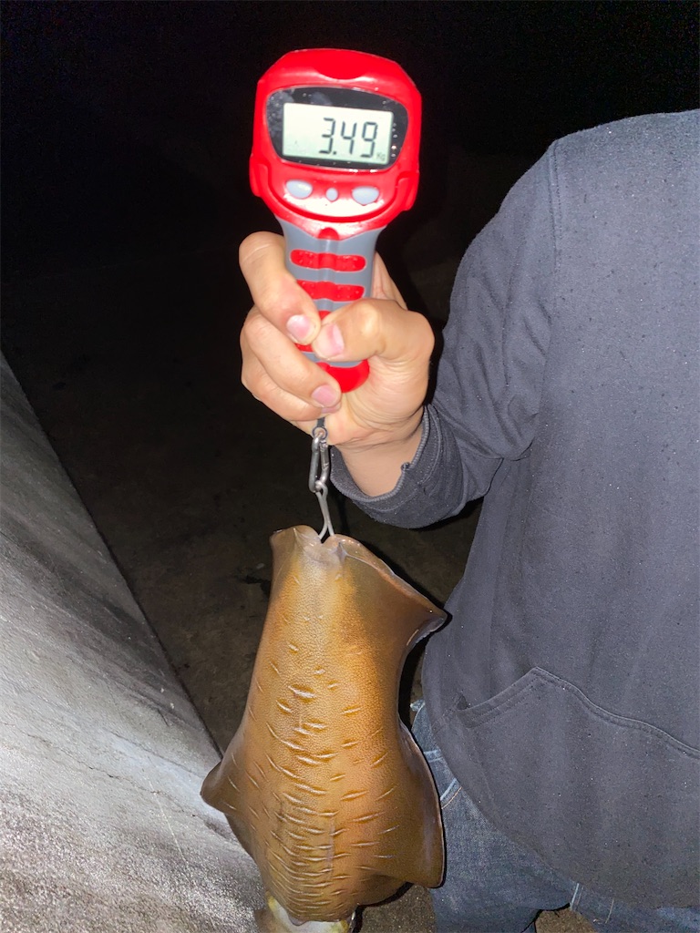 f:id:hama-tyan:20210518232034j:image