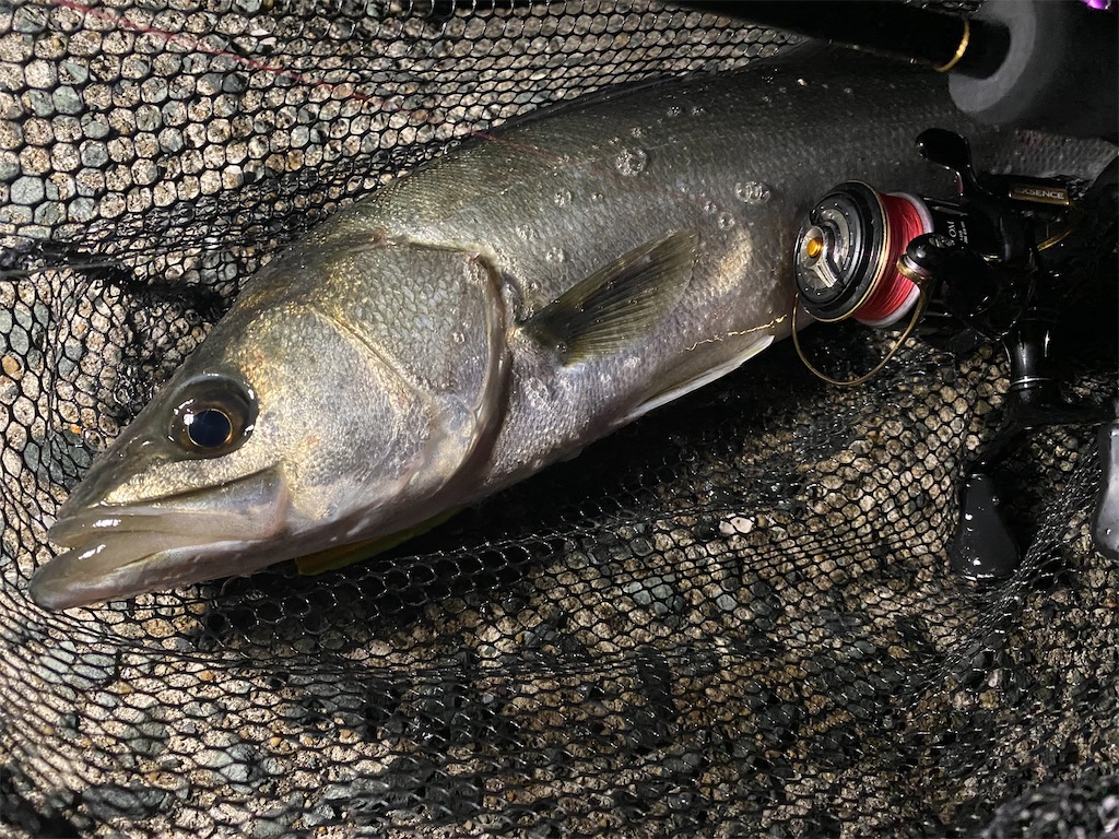 f:id:hama-tyan:20210628110114j:image f:id:hama-tyan:20210628110114j:image