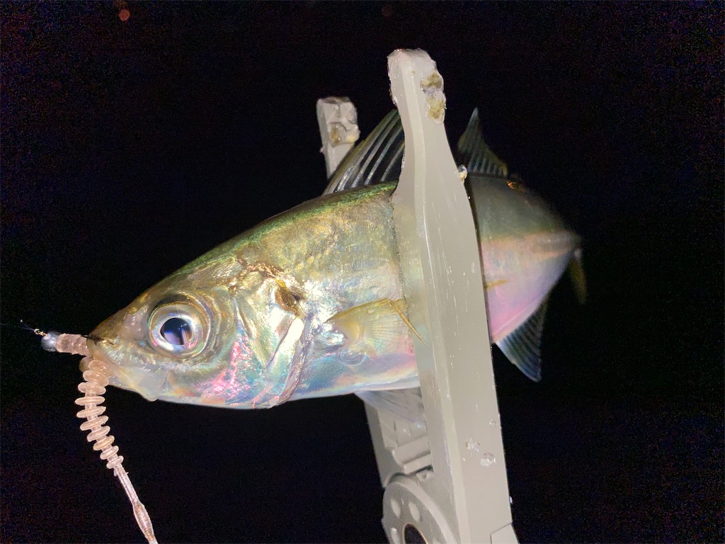 f:id:hama-tyan:20210716123753j:image f:id:hama-tyan:20210716123753j:image