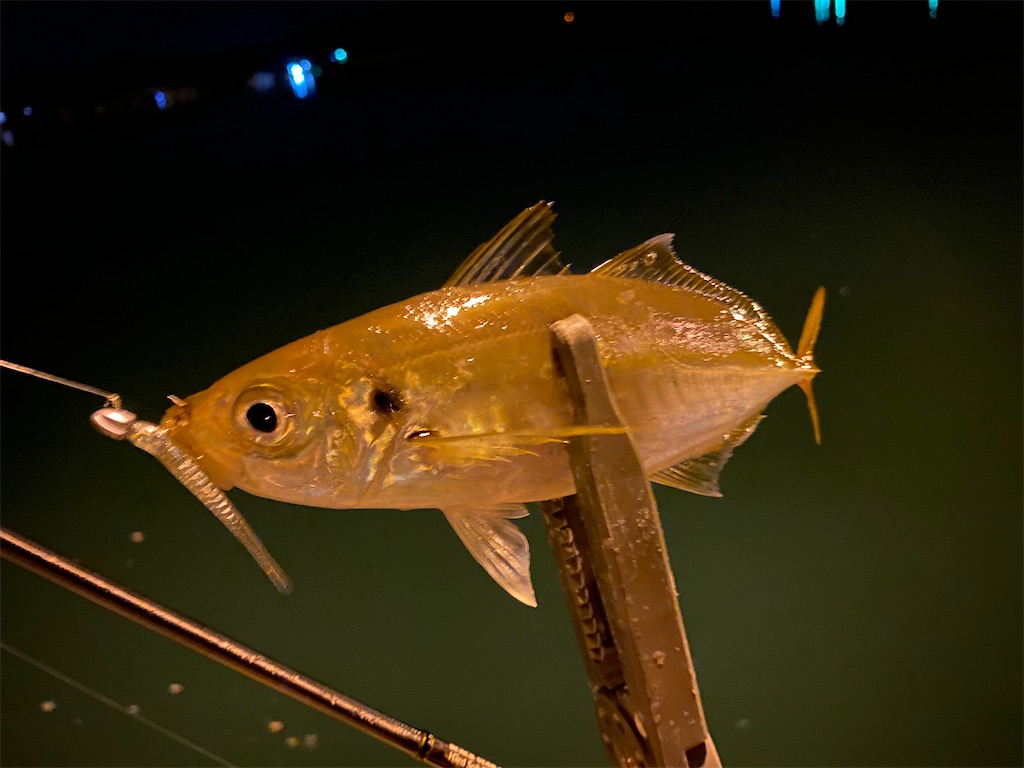 f:id:hama-tyan:20210731063209j:image f:id:hama-tyan:20210731063209j:image