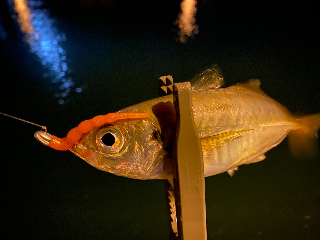 f:id:hama-tyan:20210731063839j:image f:id:hama-tyan:20210731063839j:image