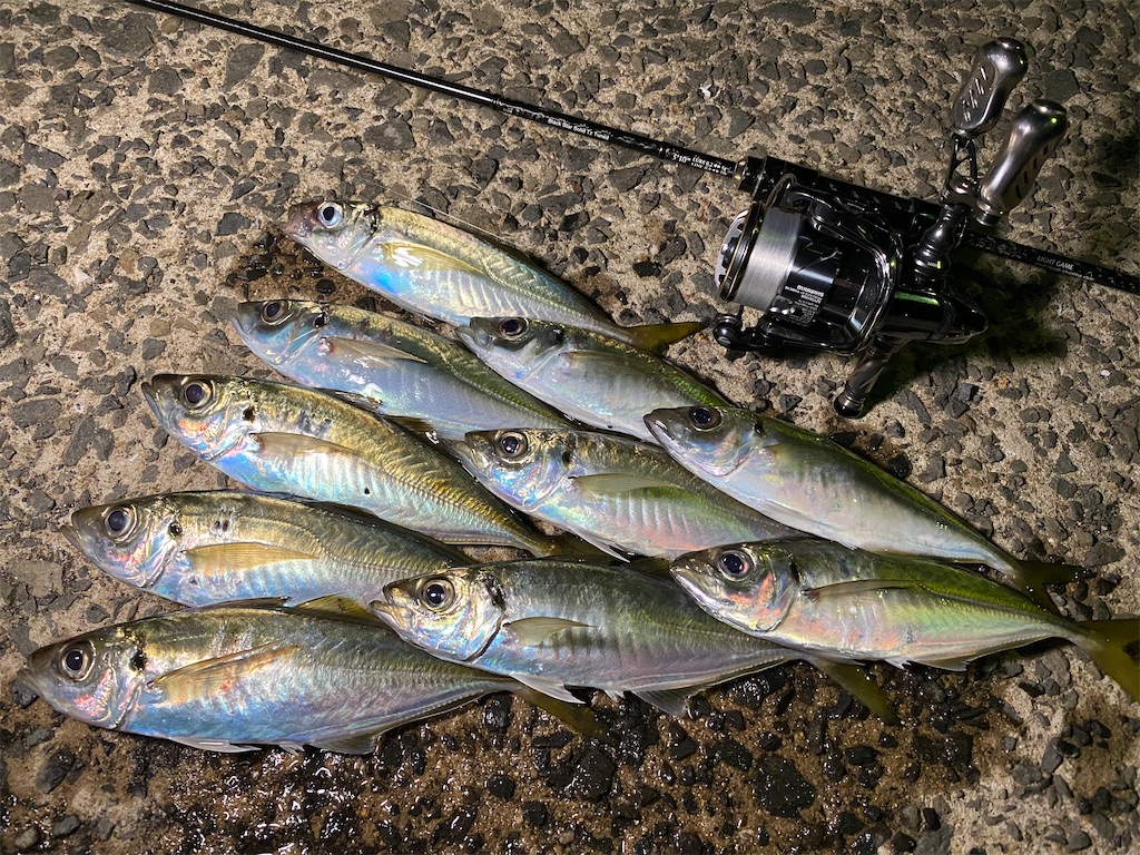 f:id:hama-tyan:20210731211845j:image f:id:hama-tyan:20210731211845j:image