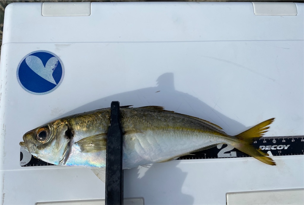 f:id:hama-tyan:20210803220503j:image f:id:hama-tyan:20210803220503j:image