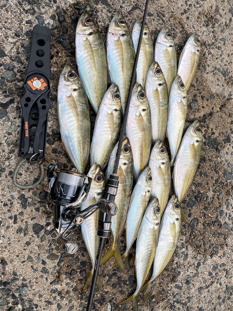 f:id:hama-tyan:20210803220507j:image f:id:hama-tyan:20210803220507j:image